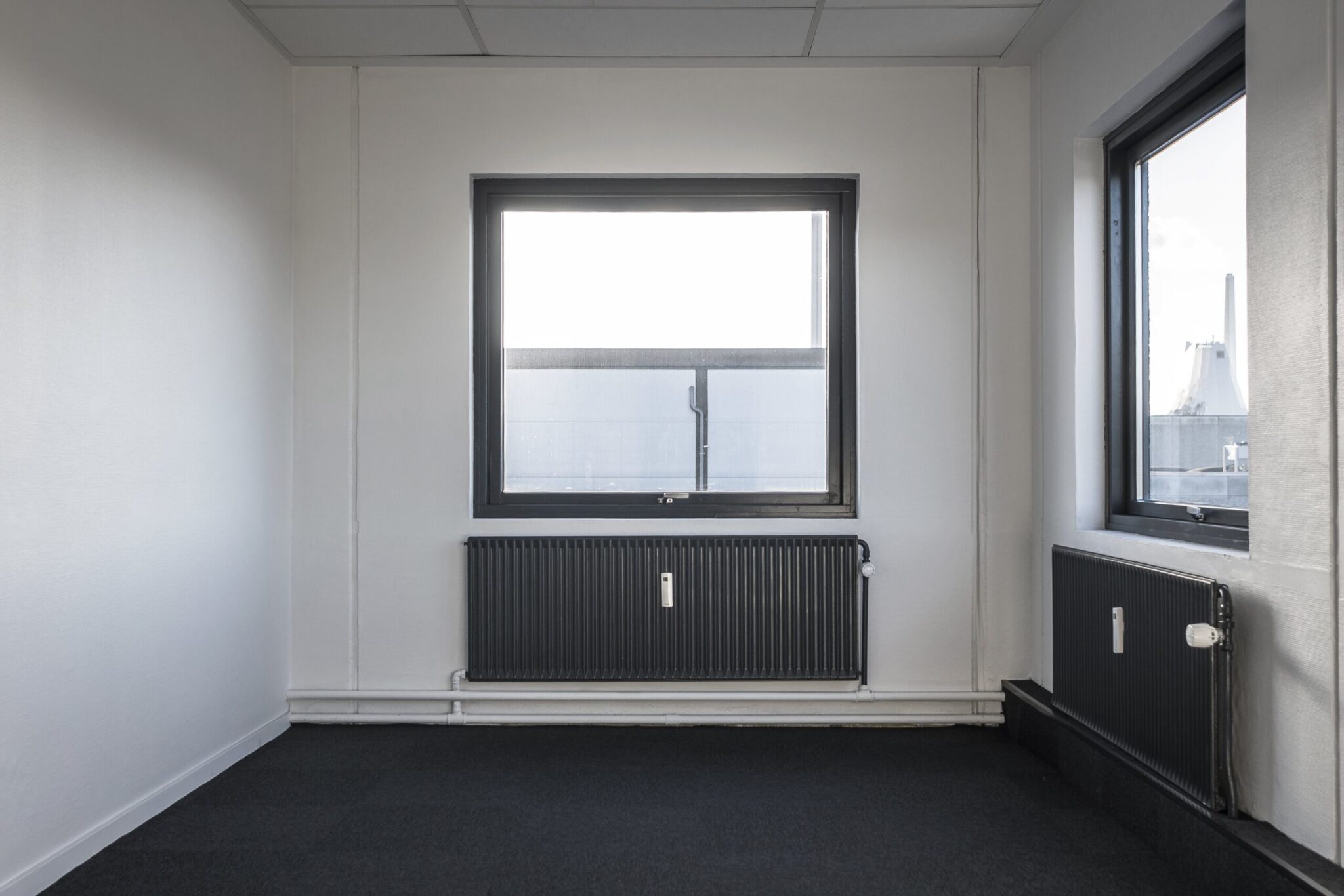 Promax_191201_122725-min-scaled